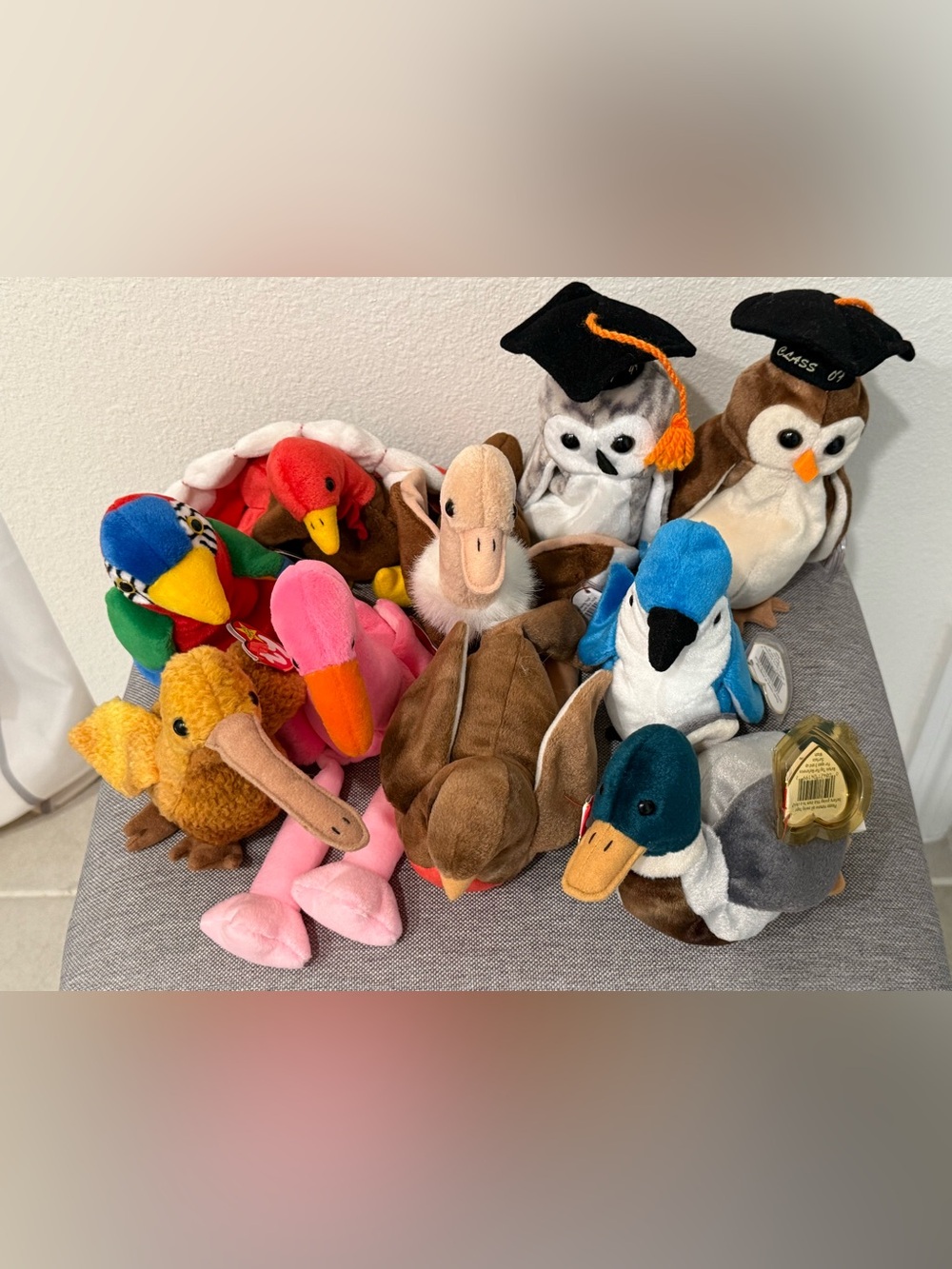 Beanie Baby Birds, Set of 10